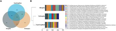 Exploring the gut microbiota of healthy captive Asian elephants from various locations in Yunnan, China